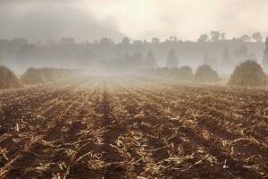 Kojim se agrotehničkim mjerama boriti protiv suše na oranicama
