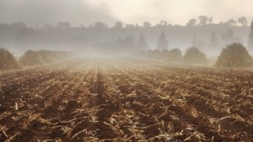 Kojim se agrotehničkim mjerama boriti protiv suše na oranicama