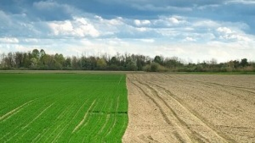 Hrvatska poljoprivreda pred vratima Unije