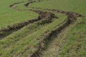 Kasni sjetva: Zbog zime i kiše prijeti nestašica hrane