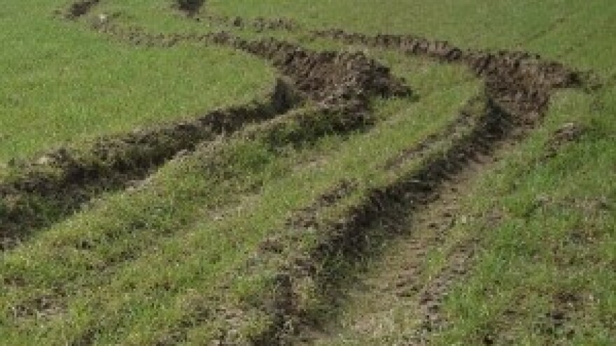 Kasni sjetva: Zbog zime i kiše prijeti nestašica hrane