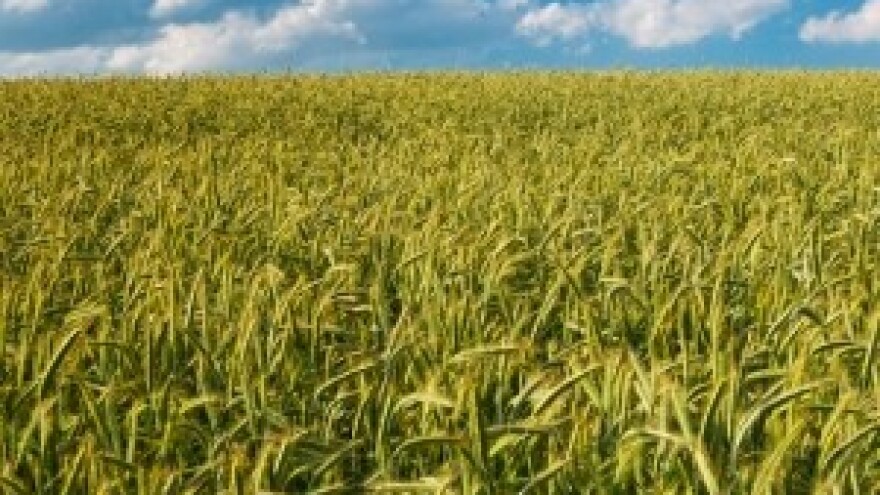 Putem AGRONET-a 30 000 poljoprivrednika popunilo zahtjev za izravna plaćanja