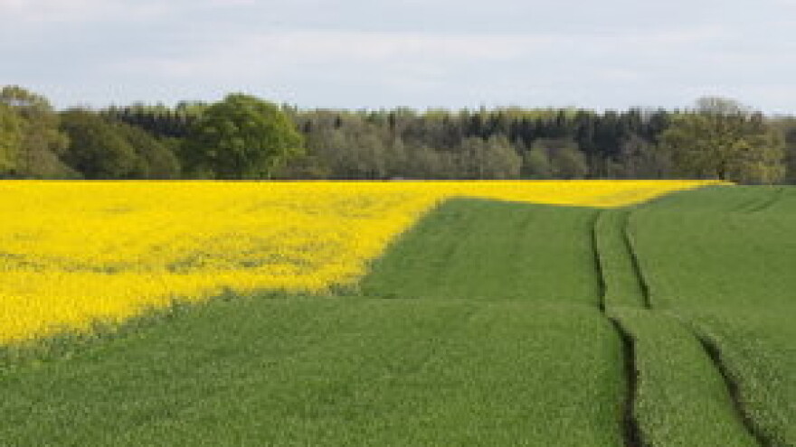 Započela isplata drugog dijela potpora!