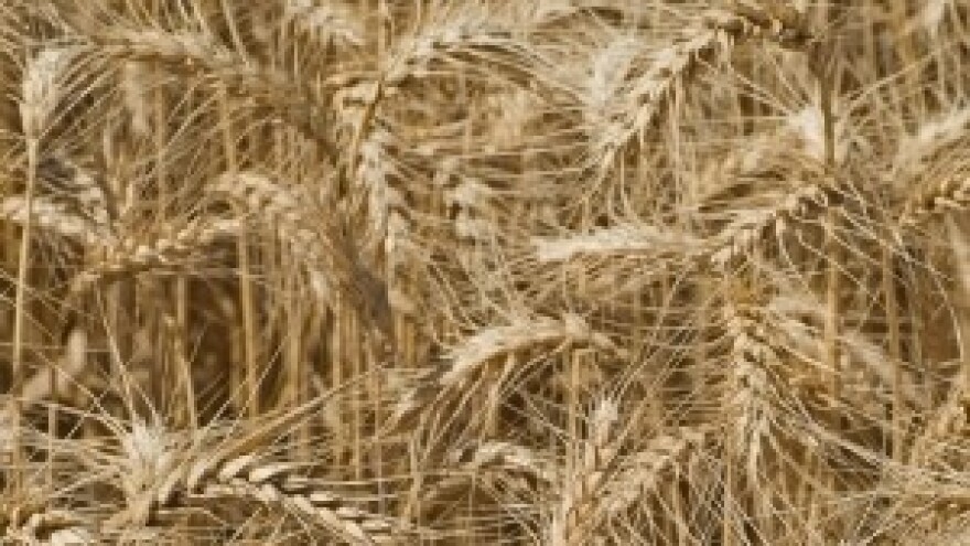 Isplaćeno dvostruko više poticaja nego lani