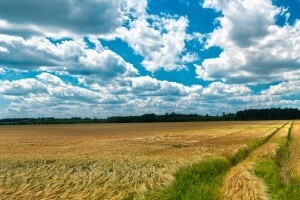 Zadnji dan za podnošenje zahtjeva za izravna plaćanja