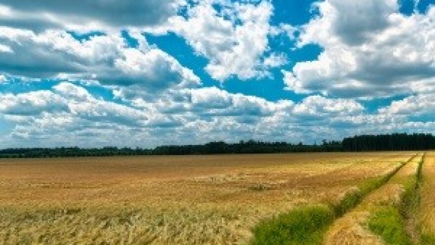 Zadnji dan za podnošenje zahtjeva za izravna plaćanja