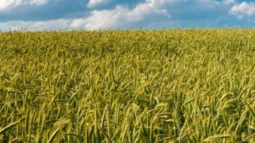 Predviđen sporiji rast poljoprivredne proizvodnje