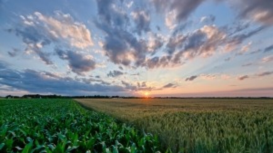 Saveznici u poljoprivredi za najveći prinos