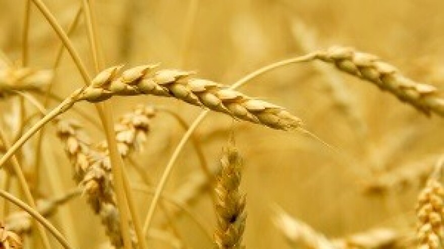 Jakovina velikim tvrtkama poklonio 70 milijuna kuna