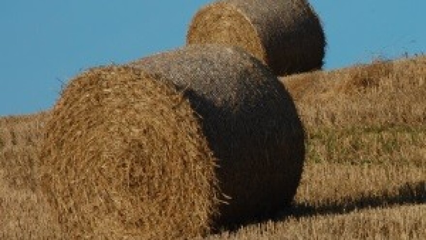 Jakovina: do 15. svibnja isplaćeno 2,2 milijarde kuna potpora