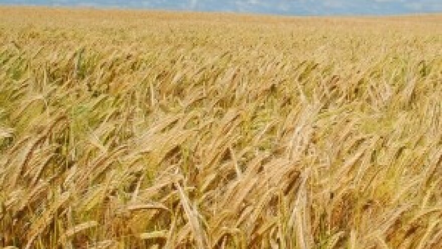 Već 60 000 poljoprivrednika popunilo zahtjev za izravna plaćanja