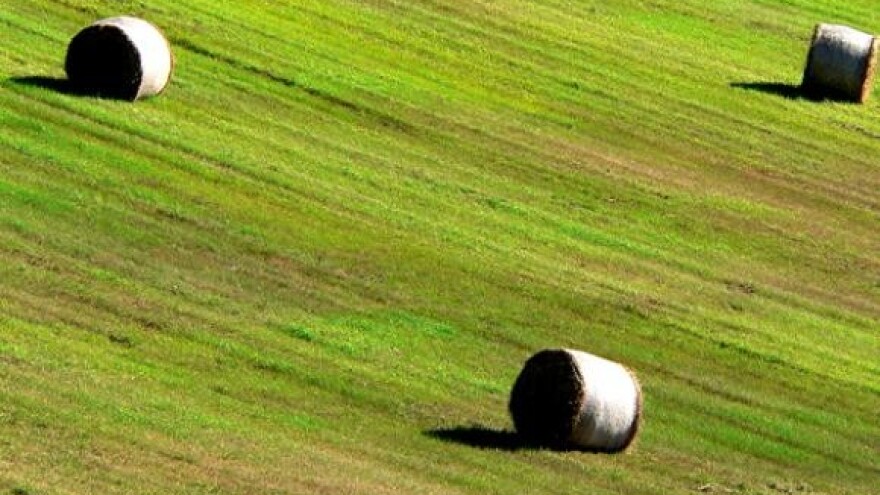 Vlada nema strategiju za poljoprivredu