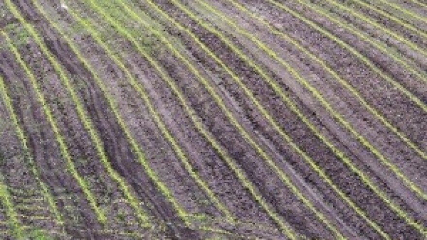 Umjesto posla HZZ u najam daje oranice!