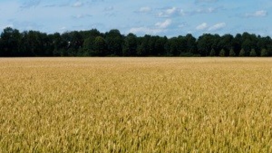 Modulaciju nije ukinuo Jakovina već aktualni zakon, koji je on potpisao!