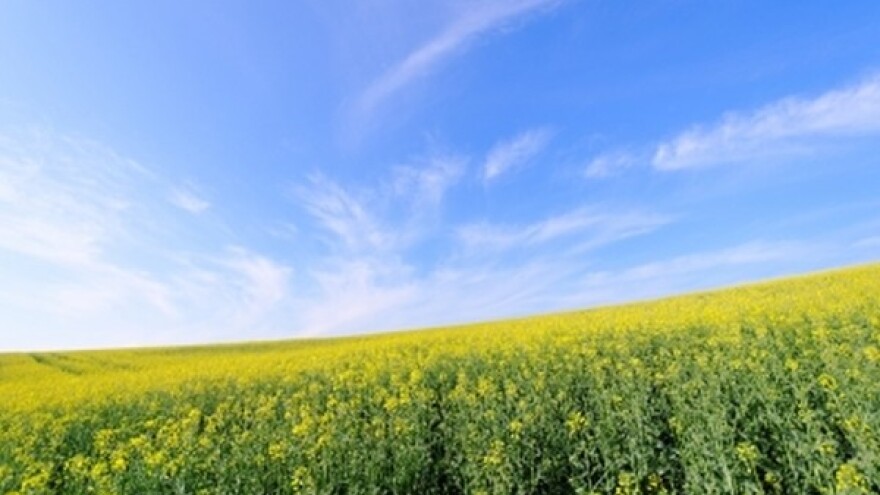 Izgledi za Hrvatsku za 01.08.2014-03.08.2014