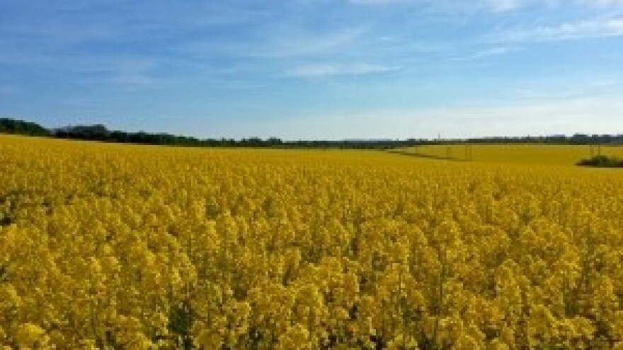 Ovo su problemi na koje će hrvatska vinska, mesna i drvna industrija naići u EU