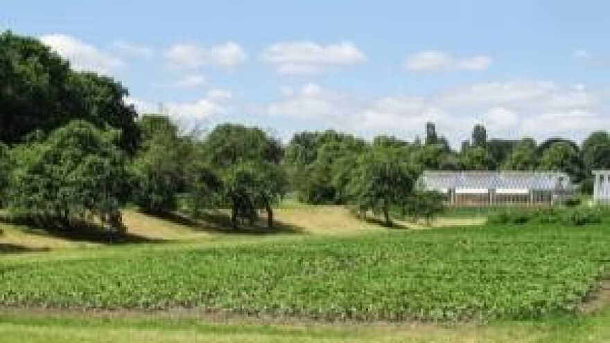 Dan polja primjene multikraft efektivnih mikroorganizama u poljoprivredi