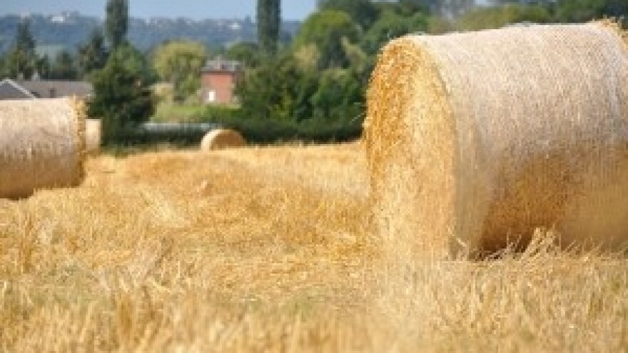 Srpski biznismen pregovara o preuzimanju hrvatskih poljoprivrednih zadruga