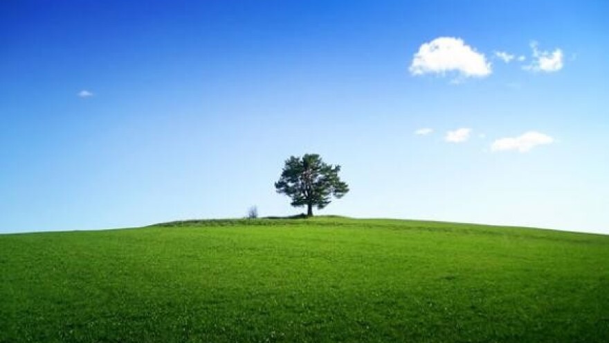 U školskom voćnjaku prezentacija strojeva za voćarstvo