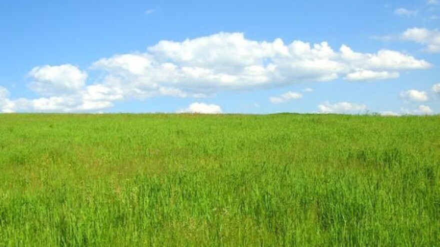 Dobrim savjetom do uspjeha