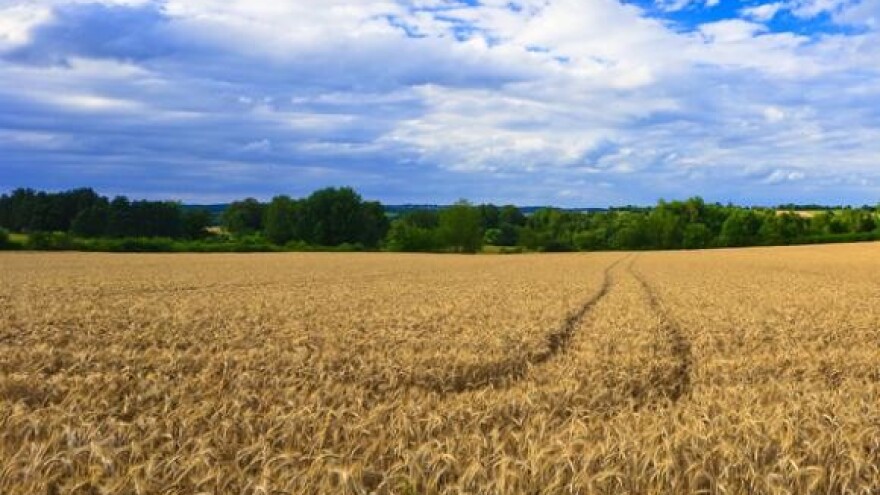 Za lošu sliku o seljacima krivi čelnici udruga!