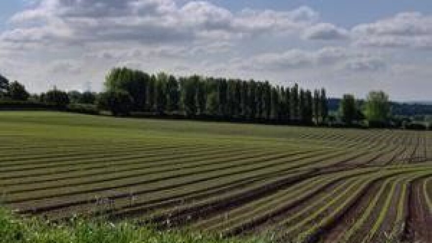 Neisplaćeni poticaji diljem Hrvatske
