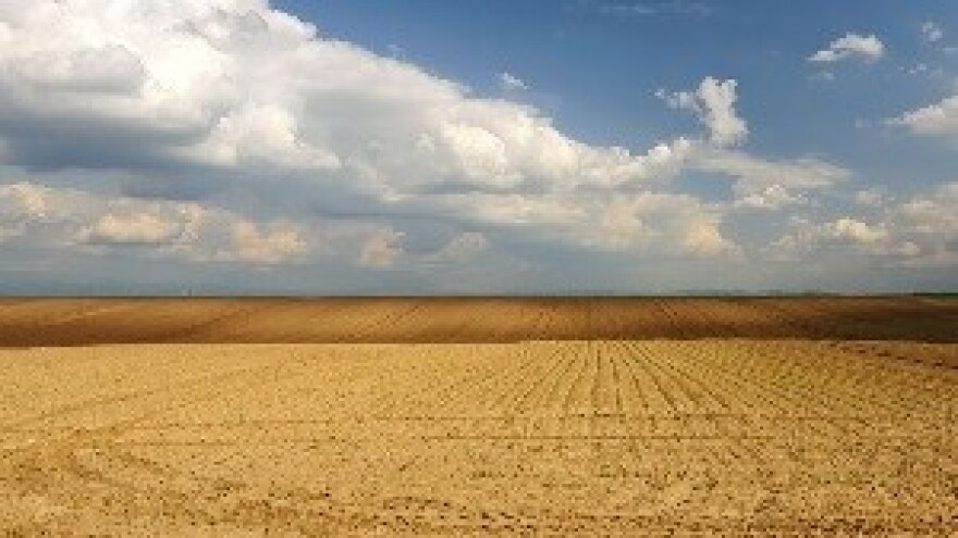 Siromašna slika jesenske sjetve