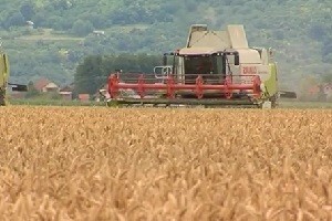 Umrežavanje za spas proizvodnje