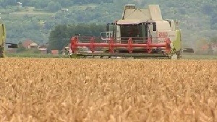 Umrežavanje za spas proizvodnje