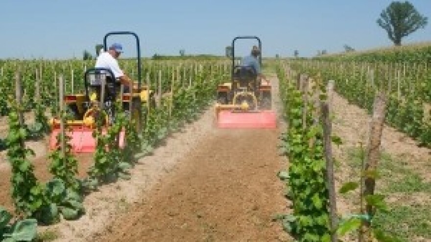 Provedba projekta - Hittner