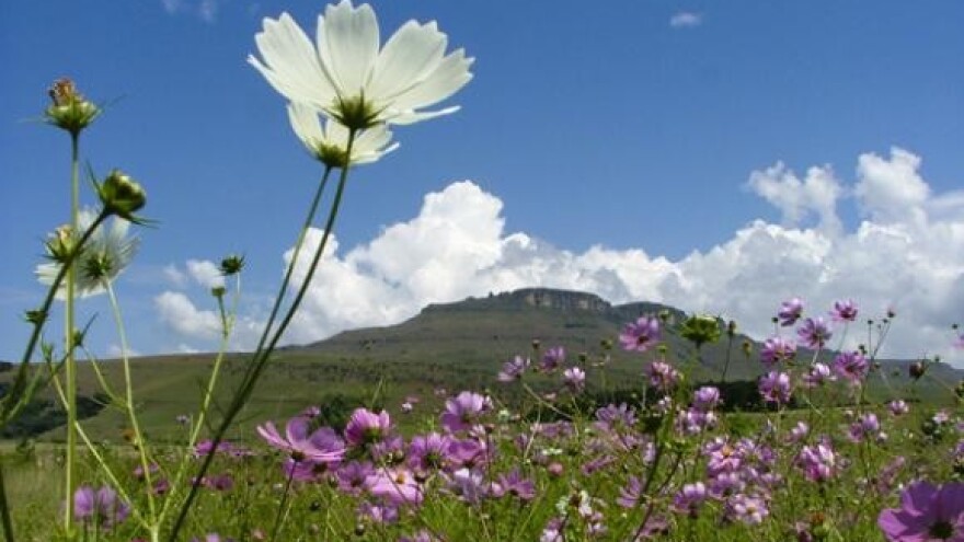 Vodič za mikrobiološke kriterije na hranu