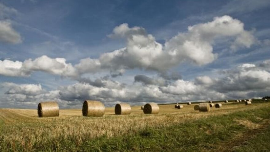 Poticaj za podizanje višegodišnjih nasada