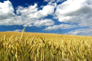 EU AgroInfo i AgroTehnika - broj 9