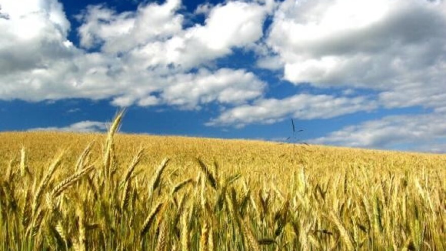 EU AgroInfo i AgroTehnika - broj 9