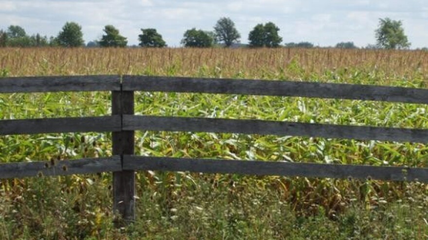 Hrvatsku poljoprivredu uništili državni poticaji!