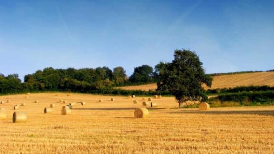 Ograničavanjem poticaja 60 tisuća seljaka će na ulicu