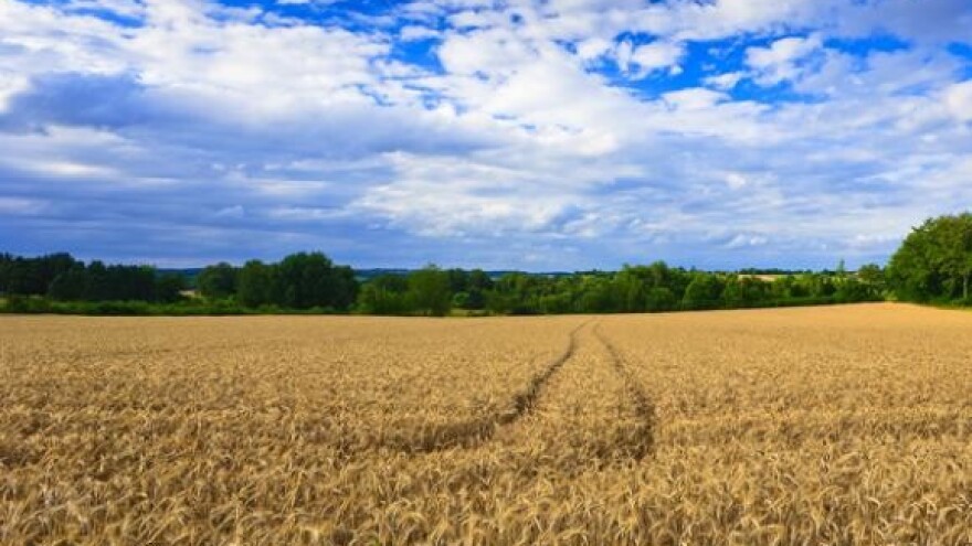 Državno zemljište u zakup na 20 godina