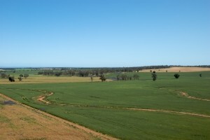 Isplata odštete na crno