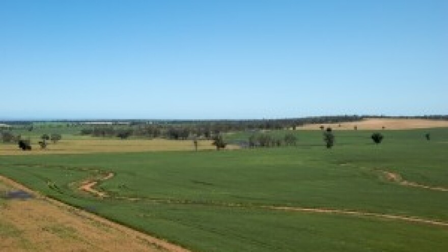 Isplata odštete na crno