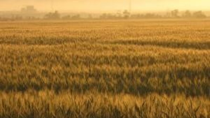 7 dana do isteka roka podnošenja zahtjeva za izravna plaćanja