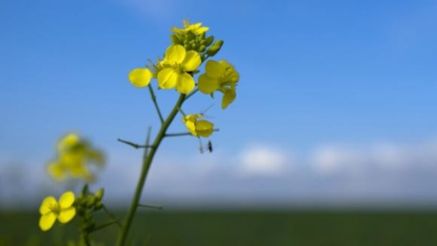 Upute za postupanje sa vaučerom MPRRR