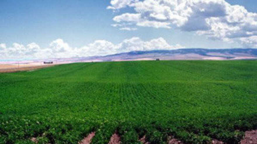 IPARD - Mjera 101 i Mjera 103