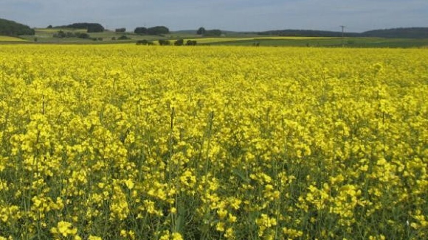 Prezentacija IPARD programa u RH