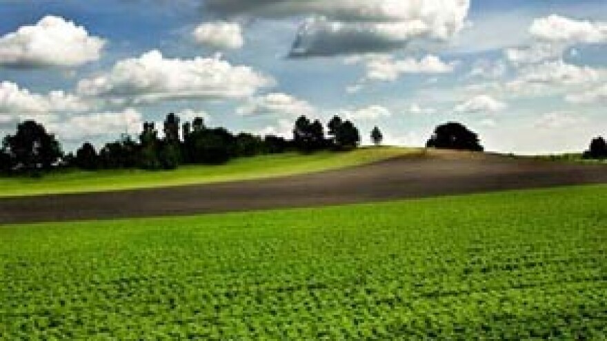 Parlament sela bez Lasla i Mavrovića?