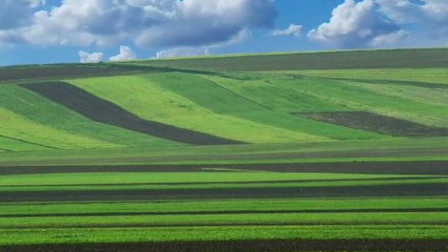 Projekt navodnjavanja