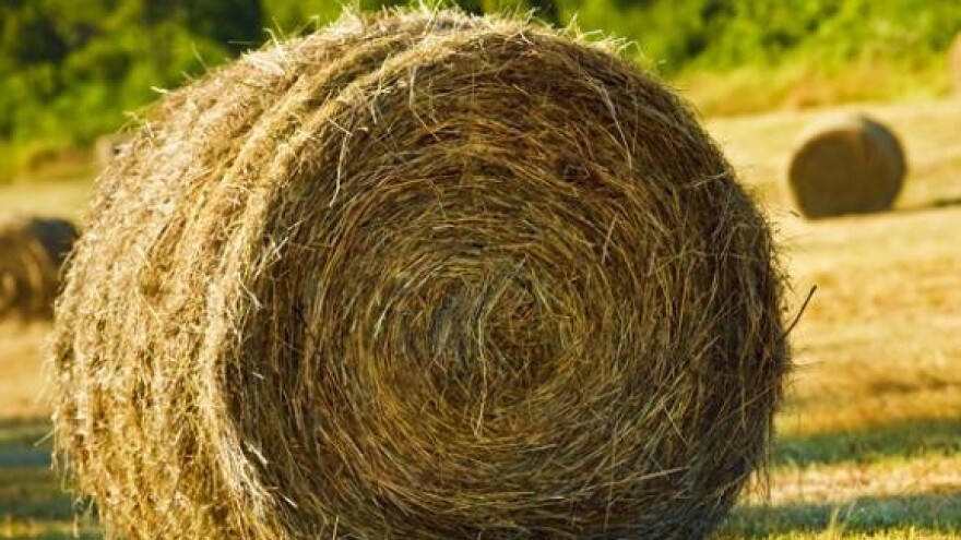 Zakon o poljoprivredi