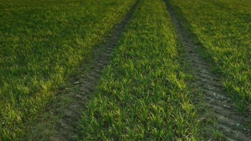 Bez upisa u ARKOD nema poticaja iz EU