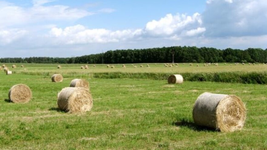 Digitalizacijom do reda u zemljišnim knjigama