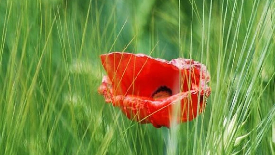 Članarina Poljoprivredne komore