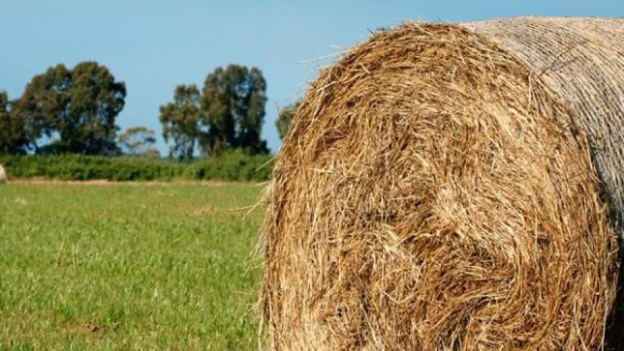 Predavanja diljem Baranje